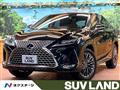 2022 Lexus RX