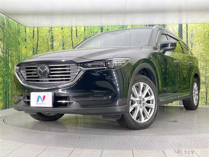 2018 Mazda CX-8