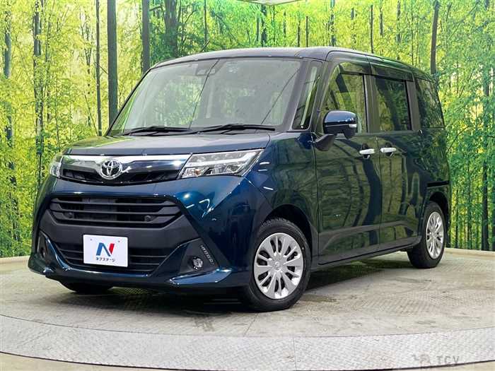 2019 Toyota Tank