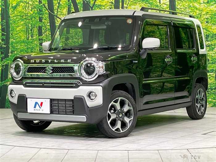 2024 Suzuki Hustler