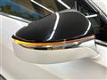 2019 Lexus Other