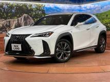 2021 Lexus Other