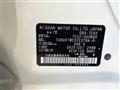 2013 Nissan Elgrand