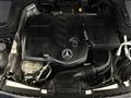 2022 Mercedes-Benz Mercedes-Benz Others