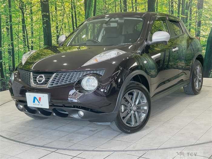 2013 Nissan Juke