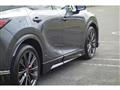 2025 Lexus RX