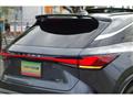 2025 Lexus RX