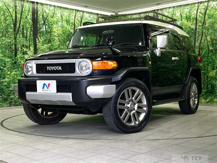 2011 Toyota FJ Cruiser