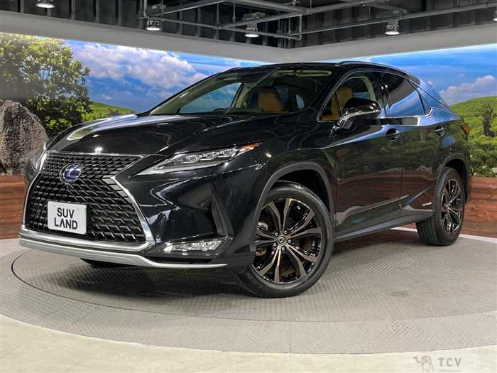 2021 Lexus RX
