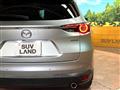 2019 Mazda CX-8
