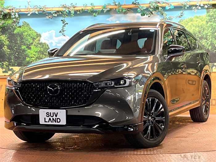 2023 Mazda CX-8