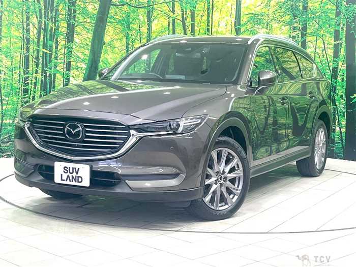 2019 Mazda CX-8