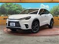 2025 Lexus Other