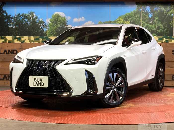 2020 Lexus Other