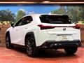2020 Lexus Other