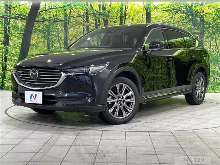 2019 Mazda CX-8