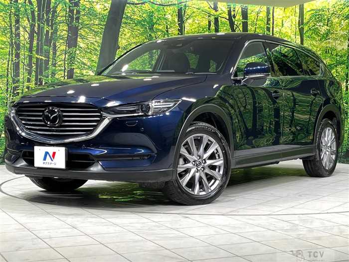 2019 Mazda CX-8