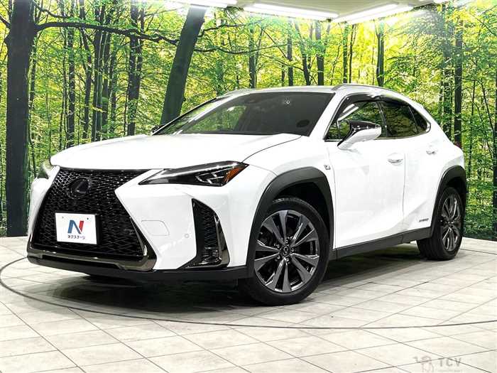 2021 Lexus Other
