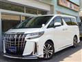 2019 Toyota Alphard G