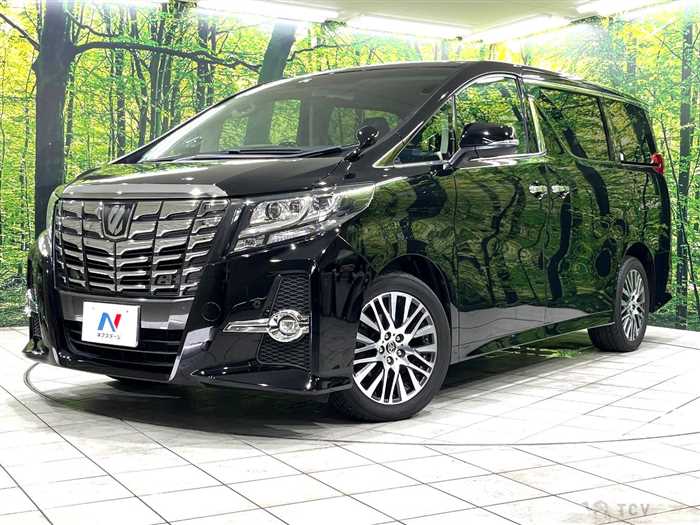 2016 Toyota Alphard