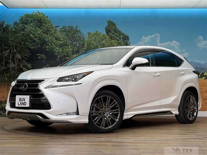 2015 Lexus NX