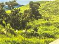 2025 Toyota Crown Estate