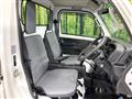 2020 Suzuki Carry Truck