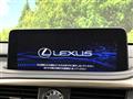 2021 Lexus RX