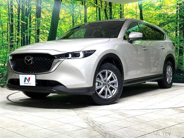 2022 Mazda CX-8