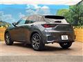 2025 Lexus Other