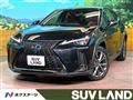 2019 Lexus Other