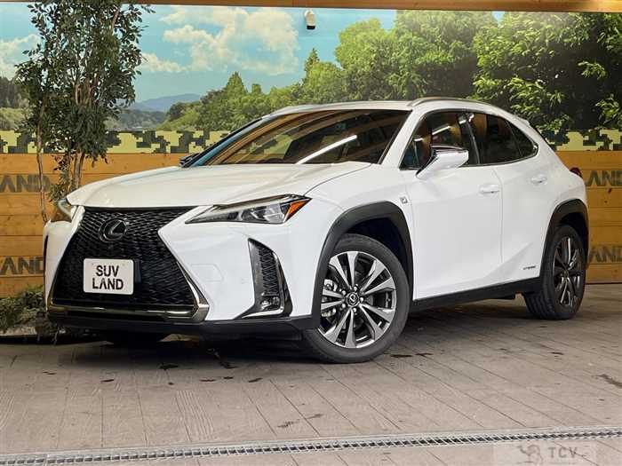 2019 Lexus Other