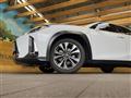 2019 Lexus Other