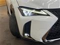 2019 Lexus Other