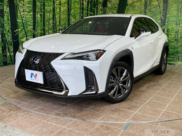 2019 Lexus Other