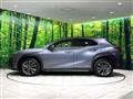 2020 Lexus Other