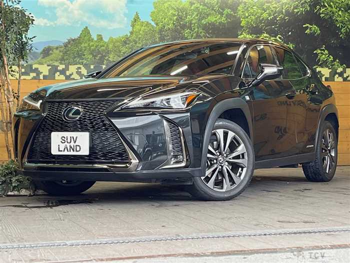 2021 Lexus Other