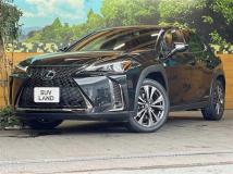 2021 Lexus Other