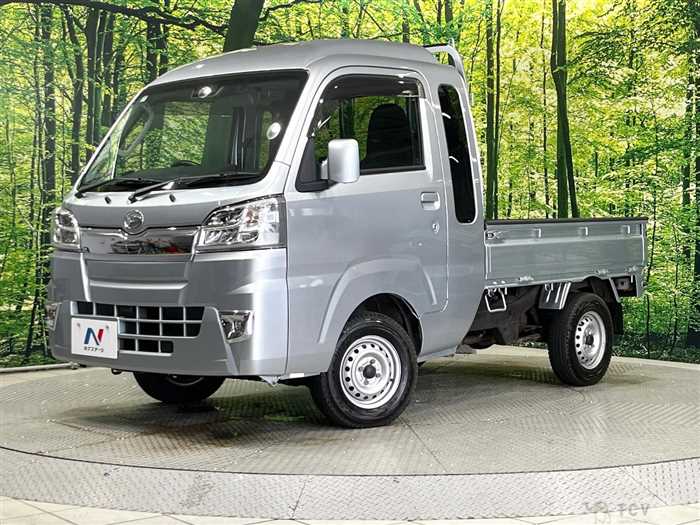 2020 Daihatsu Hijet Truck