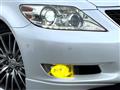 2009 Lexus LS