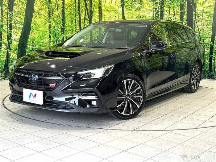 2020 Subaru Levorg
