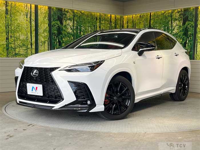 2023 Lexus NX