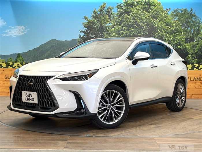 2024 Lexus NX