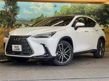 2023 Lexus NX