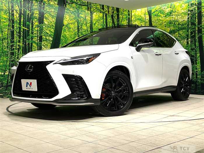 2024 Lexus NX
