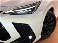 2024 Lexus NX