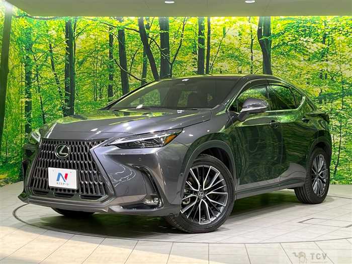 2023 Lexus NX