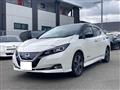 2017 Nissan Nissan Others