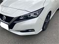2017 Nissan Nissan Others