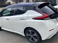 2017 Nissan Nissan Others